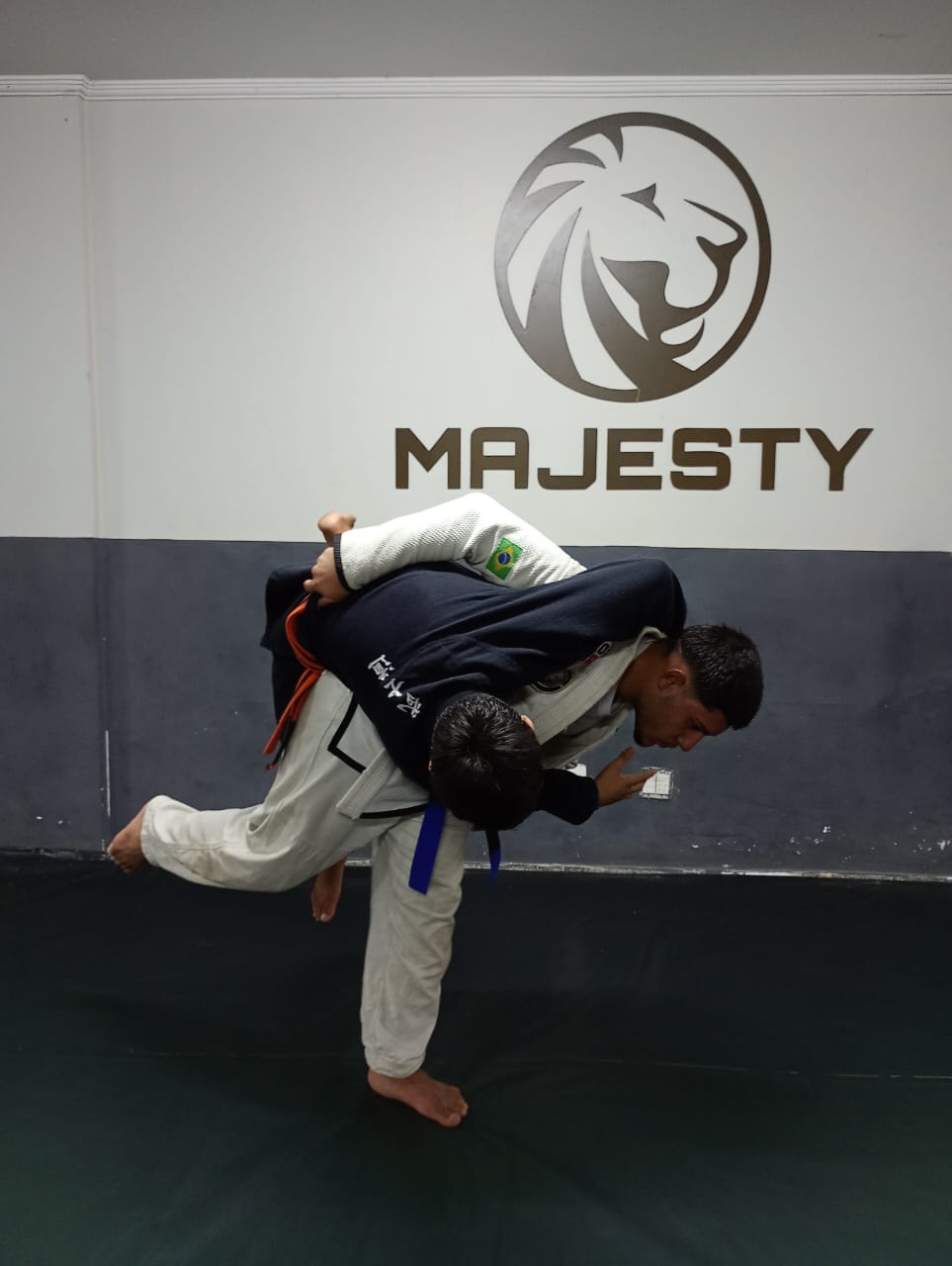 judo